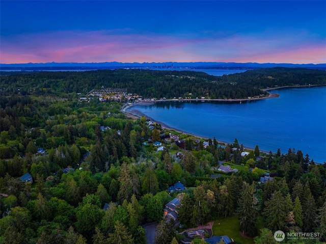 6715 NE Dapple Ct, Bainbridge Island, WA 98110 - photo 6