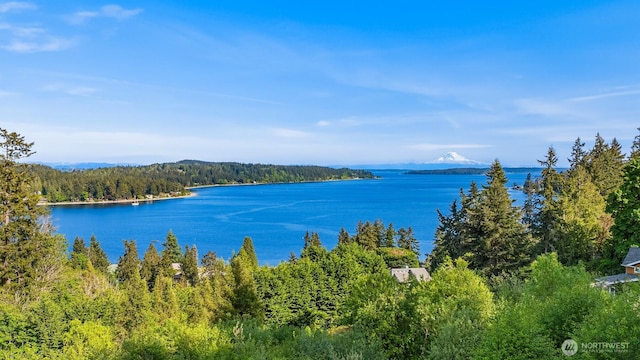 6715 NE Dapple Ct, Bainbridge Island, WA 98110 - photo 1