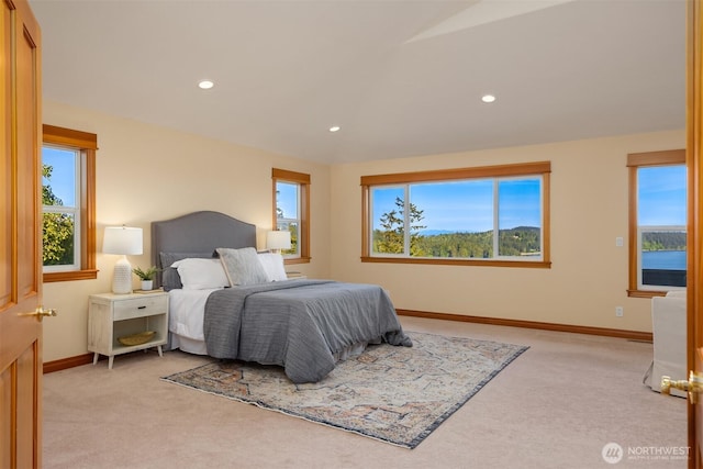 6715 NE Dapple Ct, Bainbridge Island, WA 98110 - photo 18