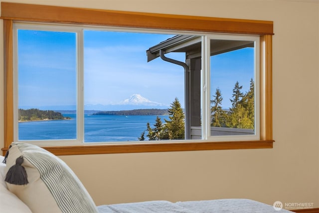 6715 NE Dapple Ct, Bainbridge Island, WA 98110 - photo 20