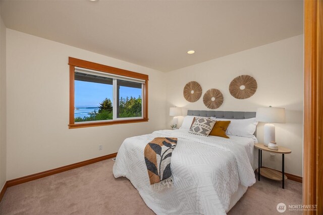 6715 NE Dapple Ct, Bainbridge Island, WA 98110 - photo 26