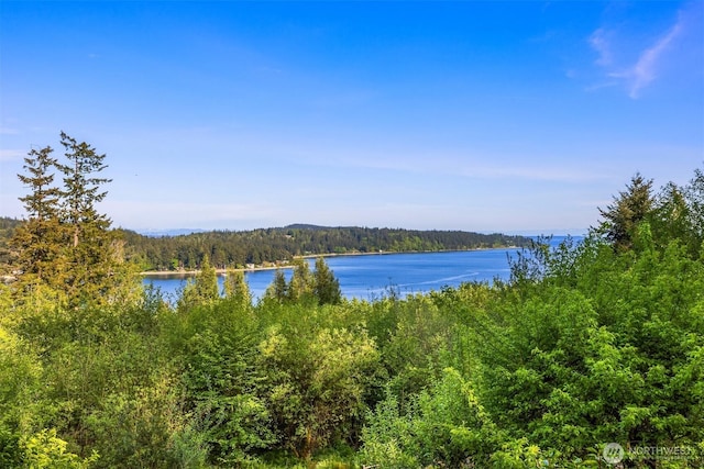 6715 NE Dapple Ct, Bainbridge Island, WA 98110 - photo 31