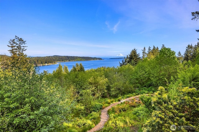 6715 NE Dapple Ct, Bainbridge Island, WA 98110 - photo 32