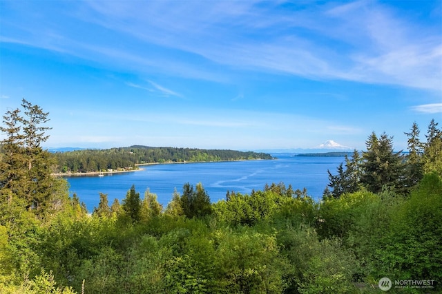 6715 NE Dapple Ct, Bainbridge Island, WA 98110 - photo 35