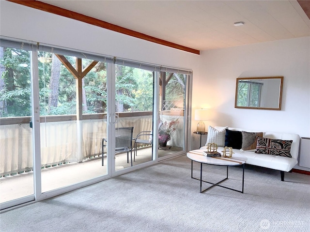 465 Winslow Way E Unit 210, Bainbridge Island, WA 98110 - photo 5