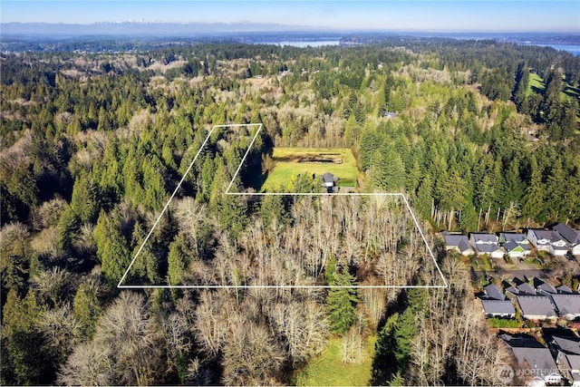 3133 32nd Ave NW, Olympia, WA 98502 - photo 12
