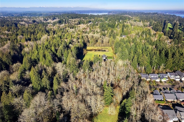 3133 32nd Ave NW, Olympia, WA 98502 - photo 7