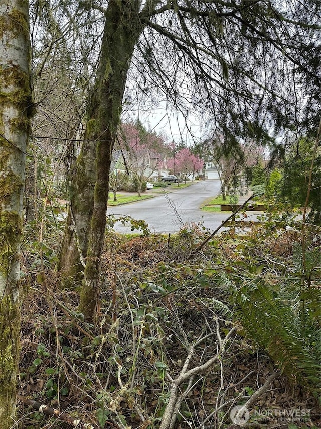 3133 32nd Ave NW, Olympia, WA 98502 - photo 3