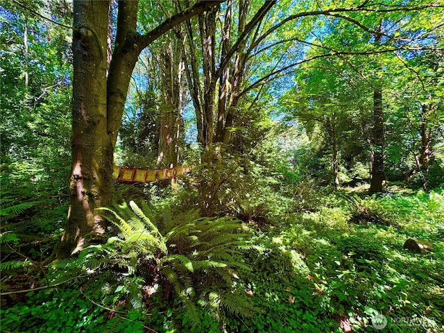 9926 SW 116th St, Vashon, WA 98070 - photo 2