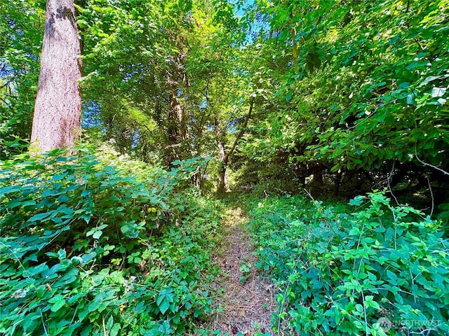 9926 SW 116th St, Vashon, WA 98070 - photo 3