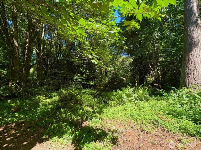 9926 SW 116th St, Vashon, WA 98070 - photo 5