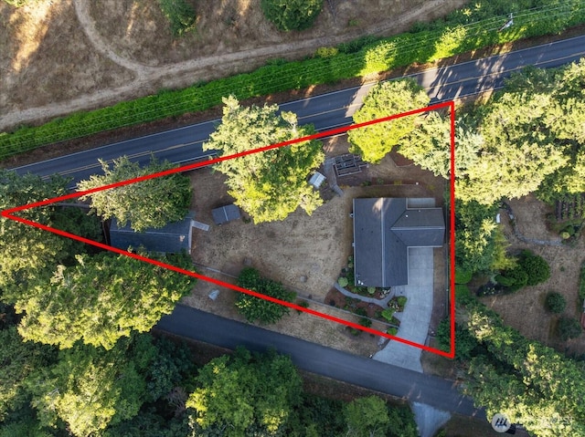3123 Redwing Rd, Camano Island, WA 98282 - photo 40
