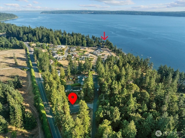 3123 Redwing Rd, Camano Island, WA 98282 - photo 39