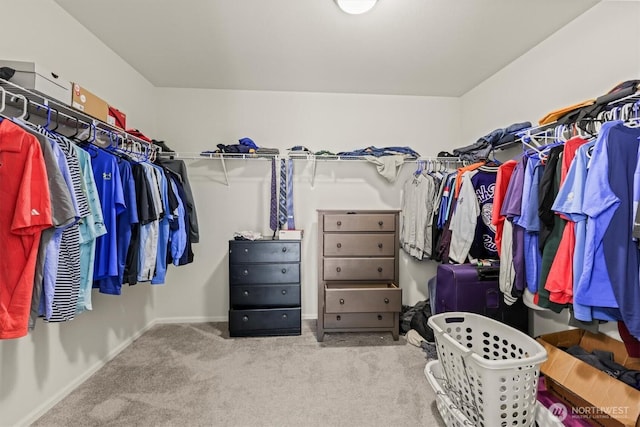 9236 Silverspot Dr SE, Olympia, WA 98501 - photo 17