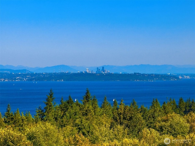 5278 NE See Forever Ln, Poulsbo, WA 98370 - photo 33