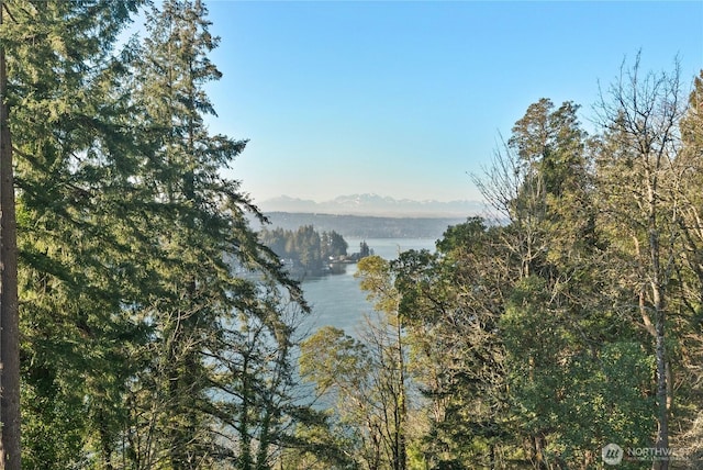 3585 Sulphur Springs Ln NW, Bremerton, WA 98310 - photo 40