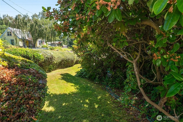 85 Quatas St, Manson, WA 98831 - photo 31