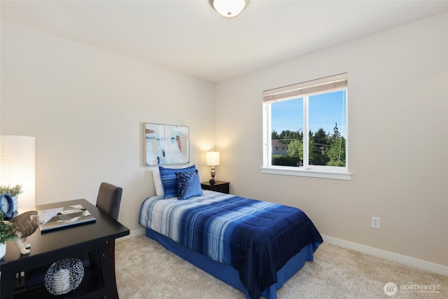 29626 55th Pl S, Auburn, WA 98001 - photo 27