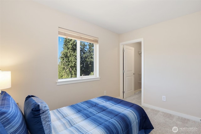 29626 55th Pl S, Auburn, WA 98001 - photo 28