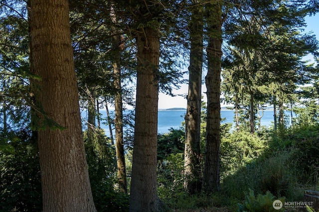2140 Inverness Way, Coupeville, WA 98239 - photo 2