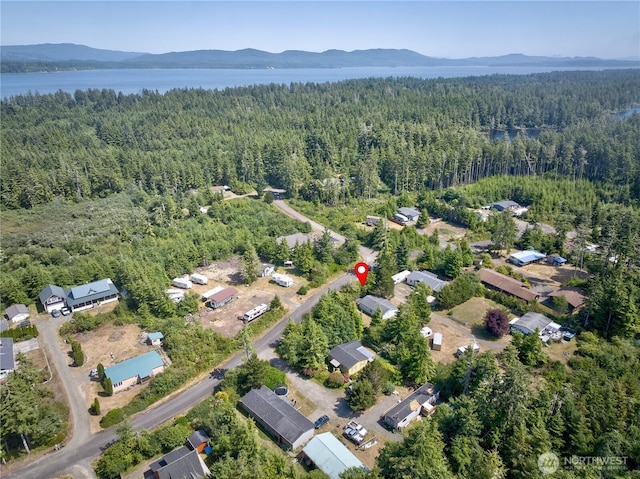 20203 Crane Pl, Ocean Park, WA 98640 - photo 6