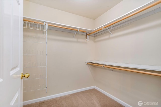 3511 Simmons Mill Ct SW Unit B, Tumwater, WA 98512 - photo 12