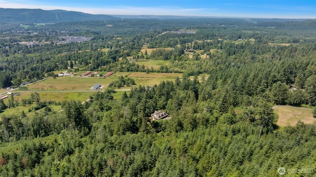 33822 118th Pl SE, Sultan, WA 98294 - photo 37