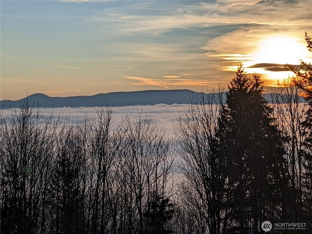 33822 118th Pl SE, Sultan, WA 98294 - photo 40