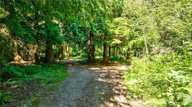 15528 May Creek Rd, Gold Bar, WA 98251 - photo 2