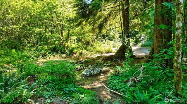 15528 May Creek Rd, Gold Bar, WA 98251 - photo 3