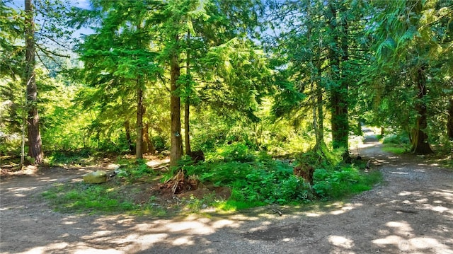 15528 May Creek Rd, Gold Bar, WA 98251 - photo 1