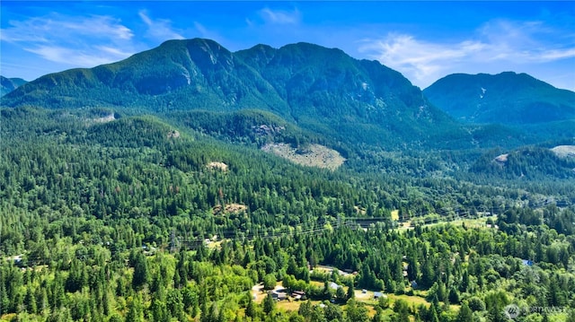 15528 May Creek Rd, Gold Bar, WA 98251 - photo 6