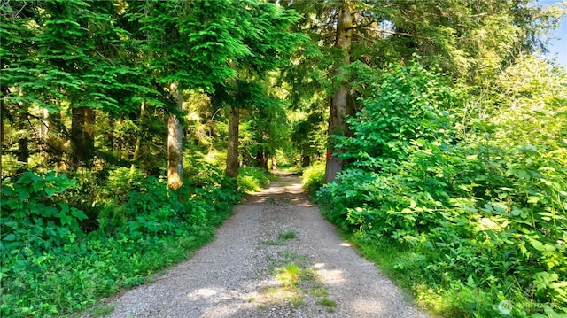 15528 May Creek Rd, Gold Bar, WA 98251 - photo 4