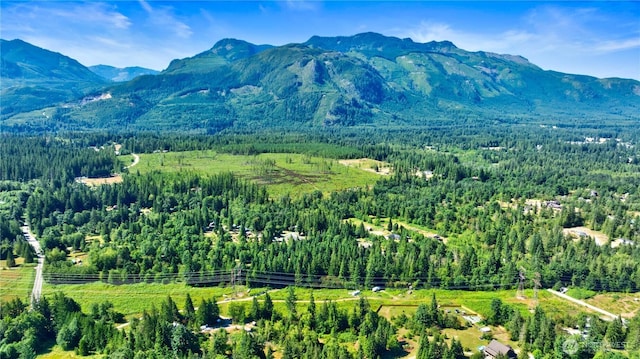 15528 May Creek Rd, Gold Bar, WA 98251 - photo 7