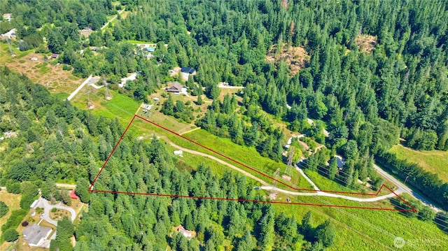 15528 May Creek Rd, Gold Bar, WA 98251 - photo 10