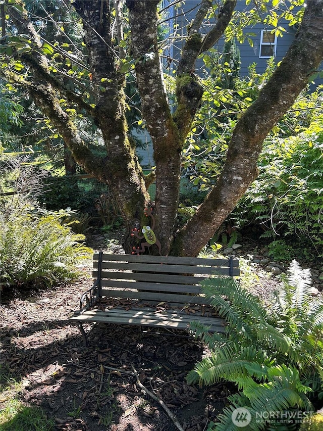 21819 E Lost Lake Rd, Snohomish, WA 98296 - photo 35
