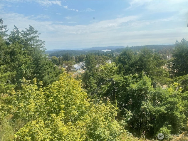 470 Hillcrest Pl Unit 7, Friday Harbor, WA 98250 - photo 1