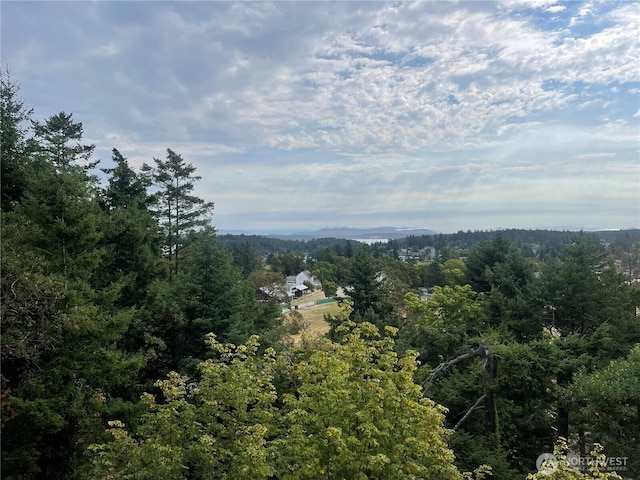 470 Hillcrest Pl Unit 7, Friday Harbor, WA 98250 - photo 12