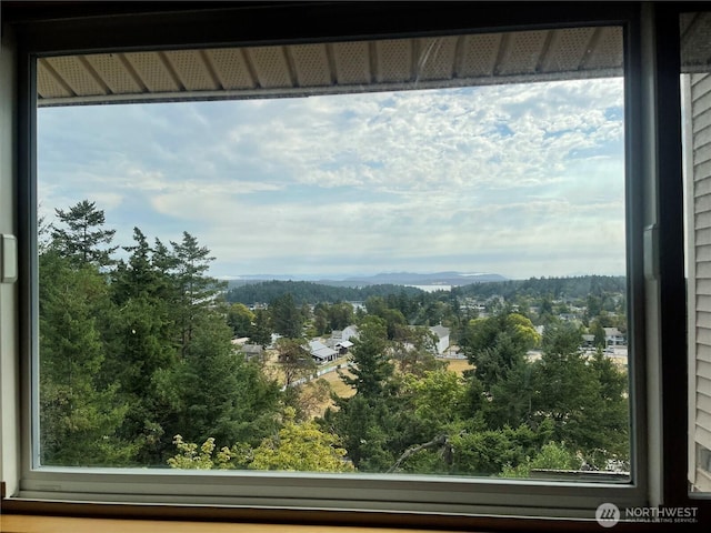 470 Hillcrest Pl Unit 7, Friday Harbor, WA 98250 - photo 29