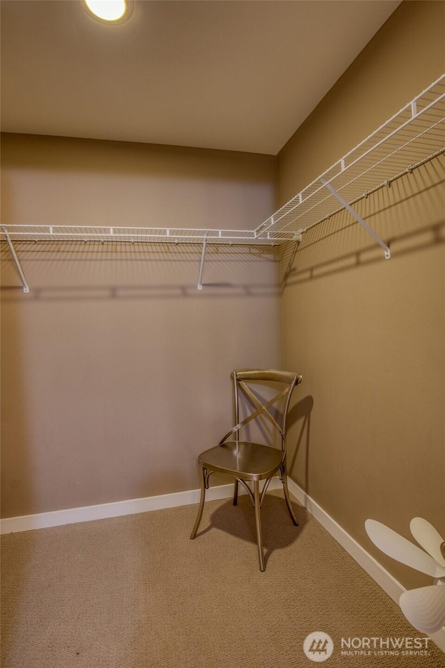 262 Oyhut Bay Blvd SW Unit 305, Ocean Shores, WA 98569 - photo 23
