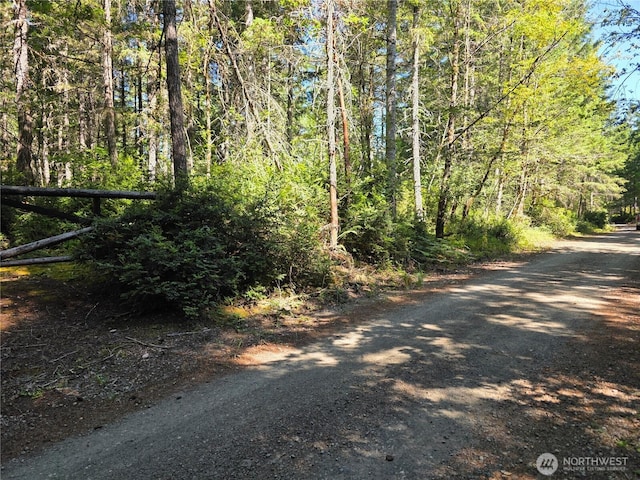 0 Hurd Rd, Belfair, WA 98528 - photo 2