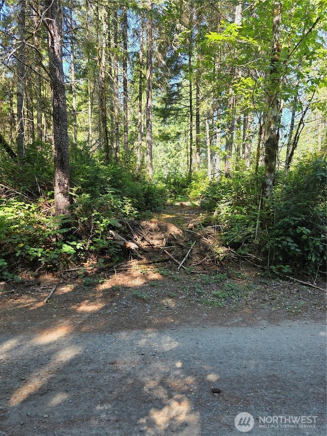 0 Hurd Rd, Belfair, WA 98528 - photo 3