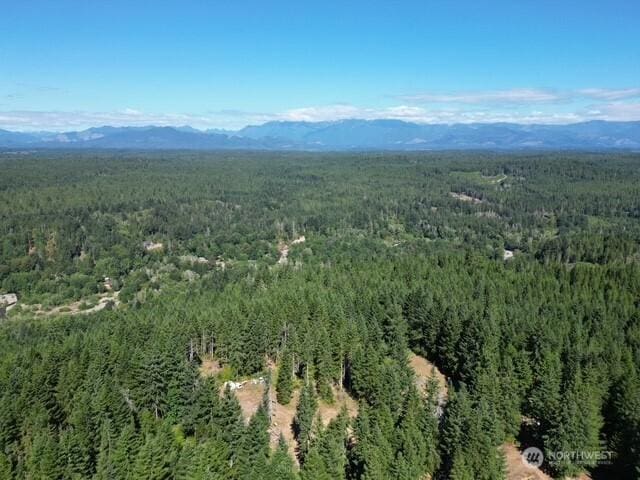 0 Hurd Rd, Belfair, WA 98528 - photo 4