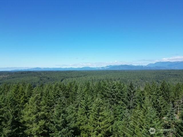 0 Hurd Rd, Belfair, WA 98528 - photo 5