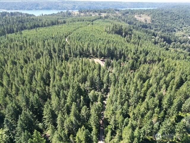 0 Hurd Rd, Belfair, WA 98528 - photo 6