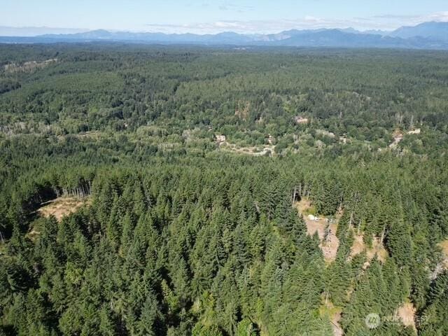 0 Hurd Rd, Belfair, WA 98528 - photo 7