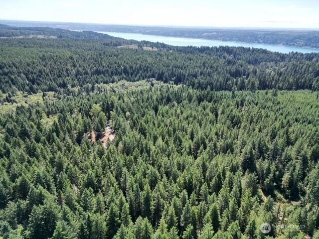 0 Hurd Rd, Belfair, WA 98528 - photo 8