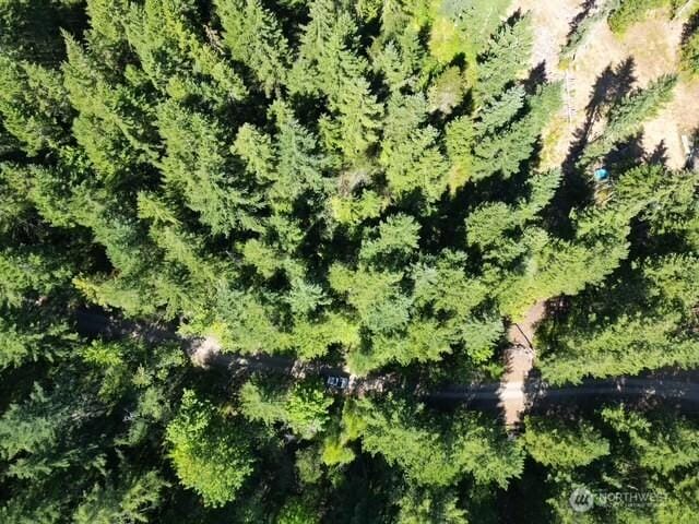 0 Hurd Rd, Belfair, WA 98528 - photo 11