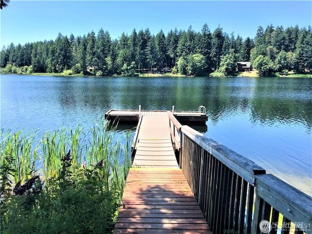 10419 Riviera Dr, Anderson Island, WA 98303 - photo 2
