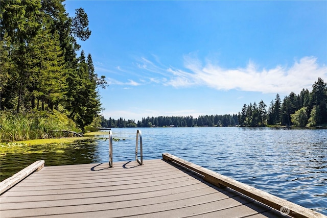 10419 Riviera Dr, Anderson Island, WA 98303 - photo 3